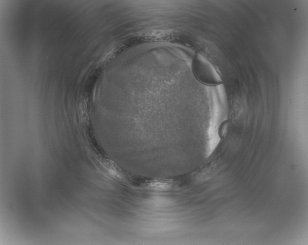 X0000055990236200509092028