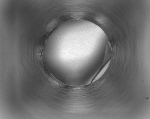 X0000055990237200509092028