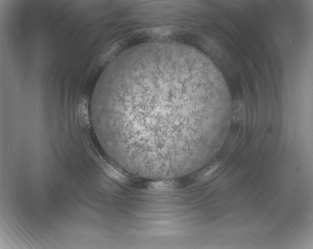 X0000055990238200509092028