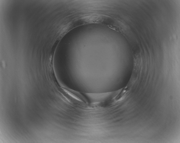 X0000055990239200509092028