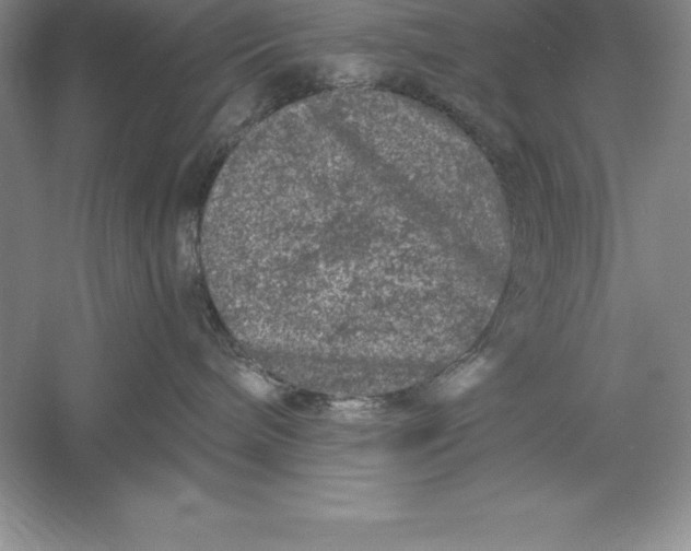 X0000055990240200509092028