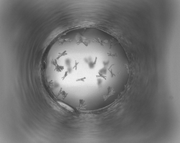 X0000055990242200509092027