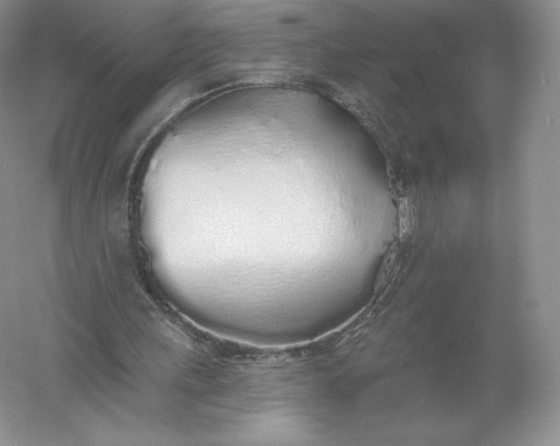 X0000055990243200509092027