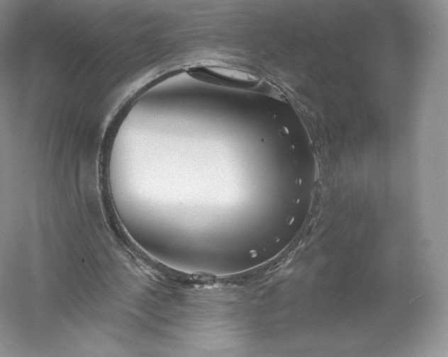 X0000055990244200509092027