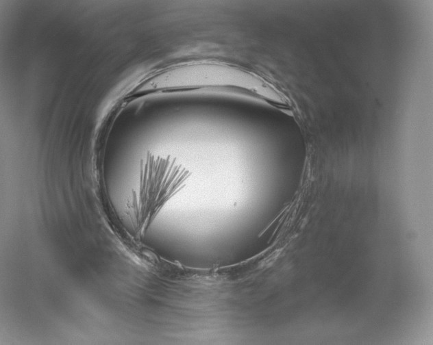 X0000055990245200509092027