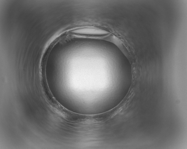 X0000055990246200509092027