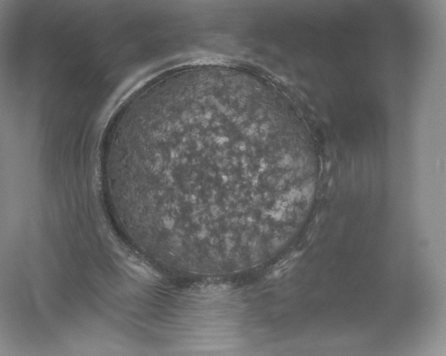 X0000055990247200509092027