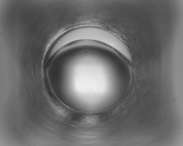 X0000055990248200509092027