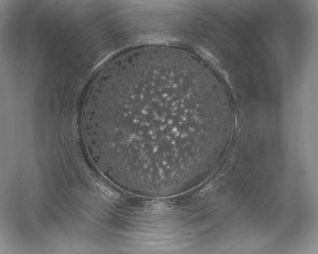 X0000055990249200509092027