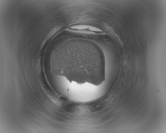 X0000055990250200509092027