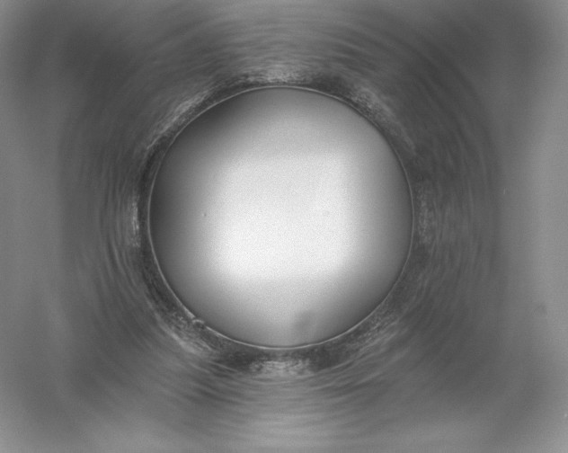 X0000055990251200509092027