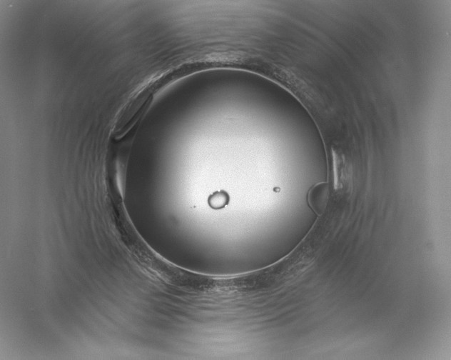 X0000055990252200509092027