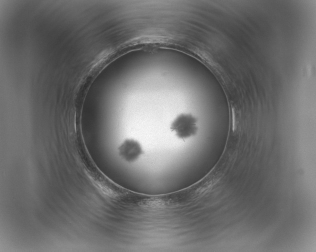 X0000055990253200509092027