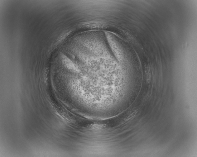 X0000055990255200509092027