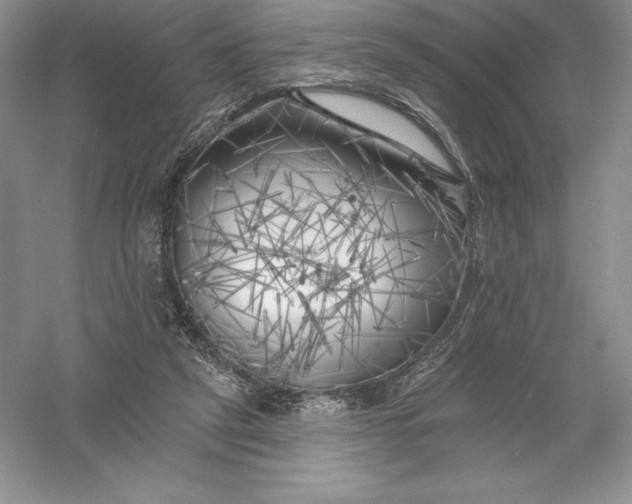 X0000055990257200509092027