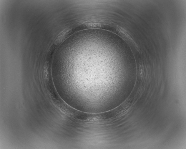 X0000055990259200509092027