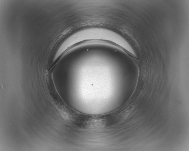 X0000055990260200509092027