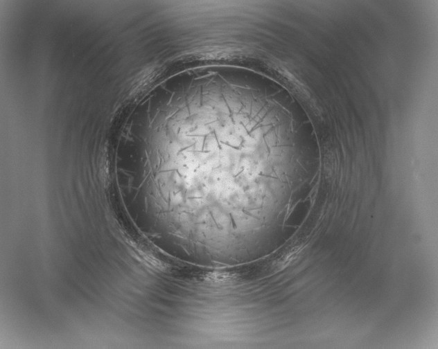 X0000055990261200509092027