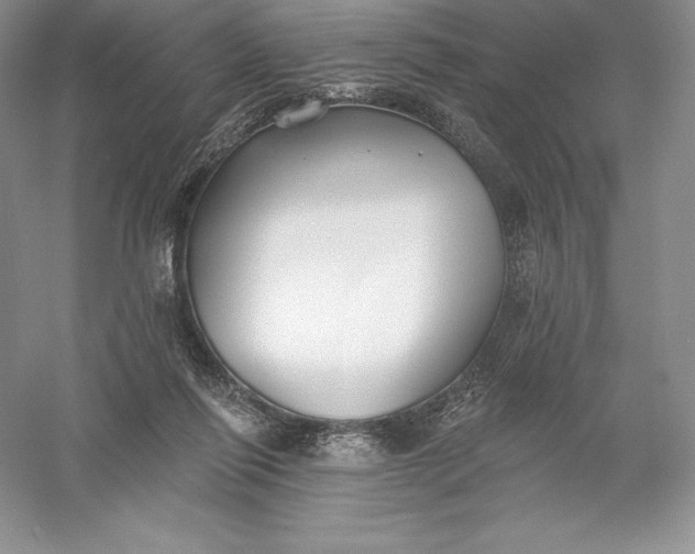 X0000055990262200509092027