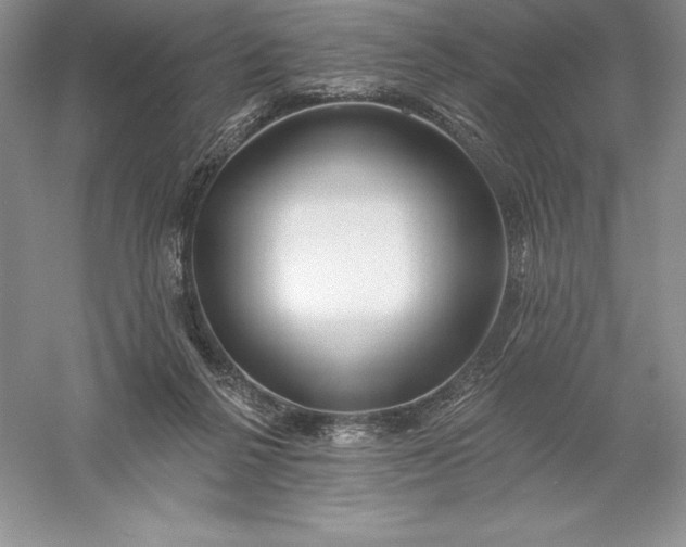 X0000055990264200509092027