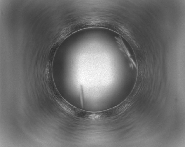 X0000055990265200509092027