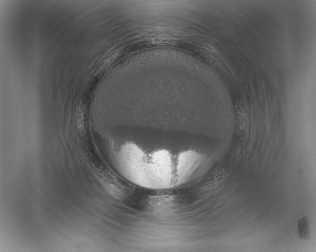 X0000055990266200509092027