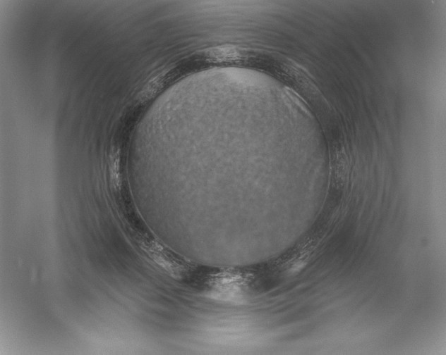 X0000055990267200509092027