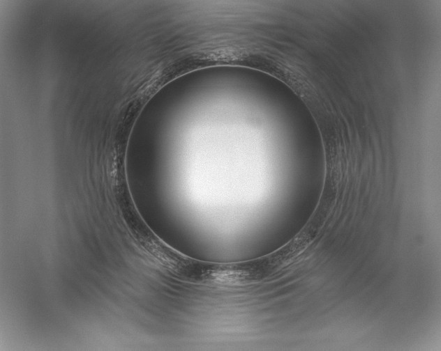 X0000055990268200509092027