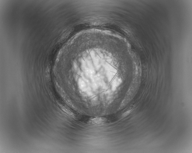 X0000055990269200509092027