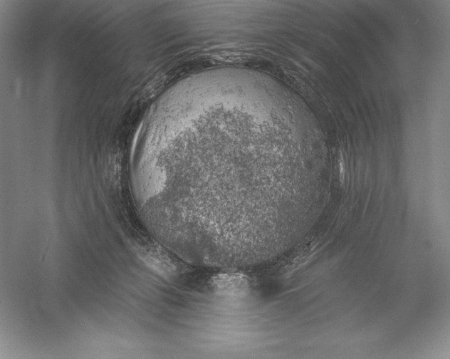 X0000055990271200509092027