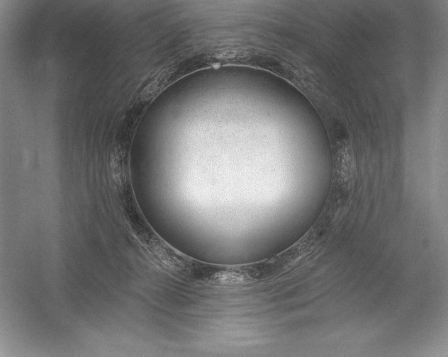 X0000055990272200509092027