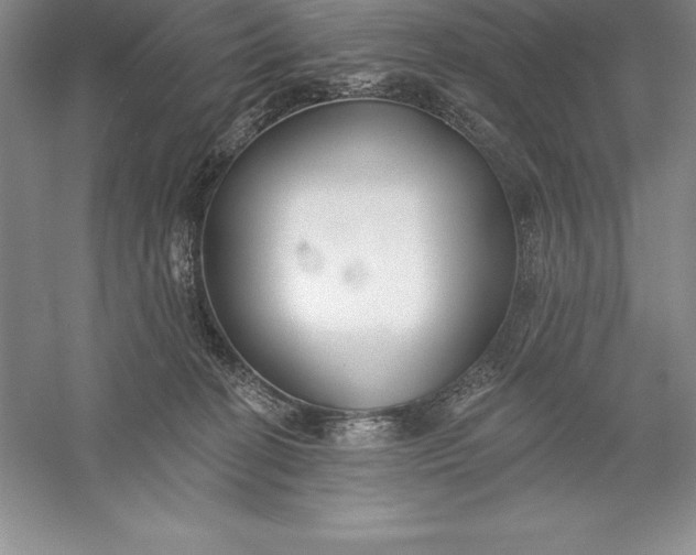 X0000055990274200509092027