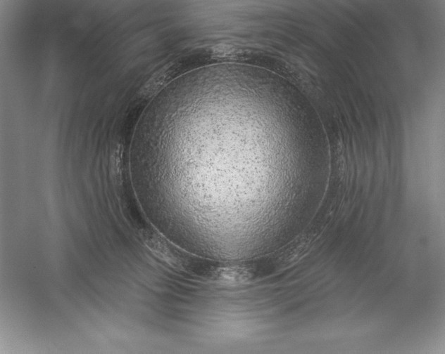 X0000055990275200509092027