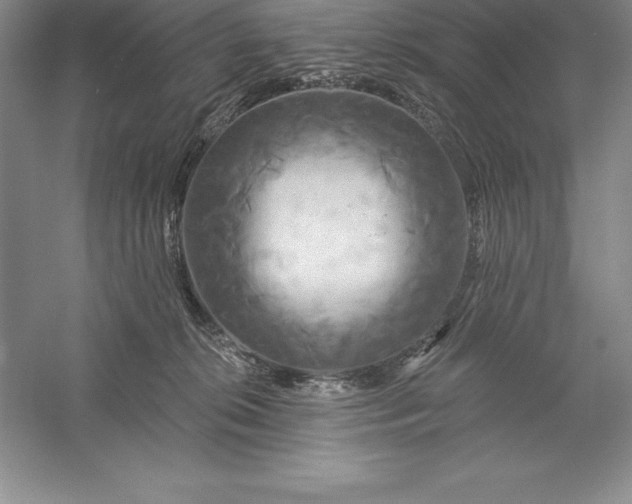 X0000055990276200509092027