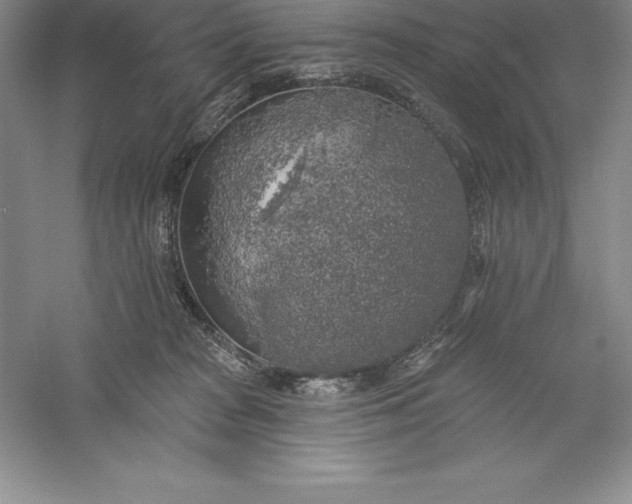 X0000055990277200509092027