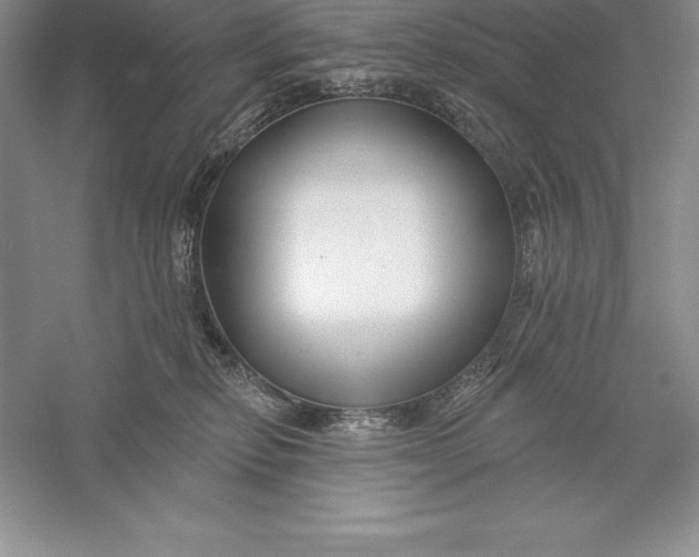 X0000055990278200509092027