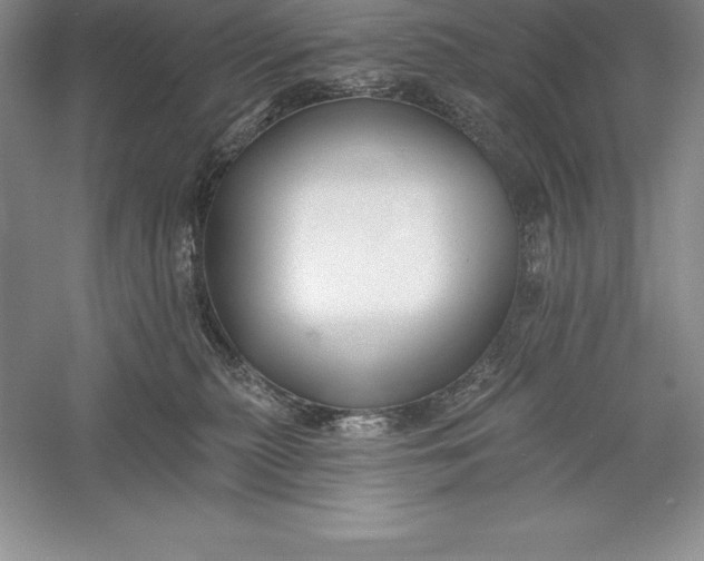 X0000055990279200509092027