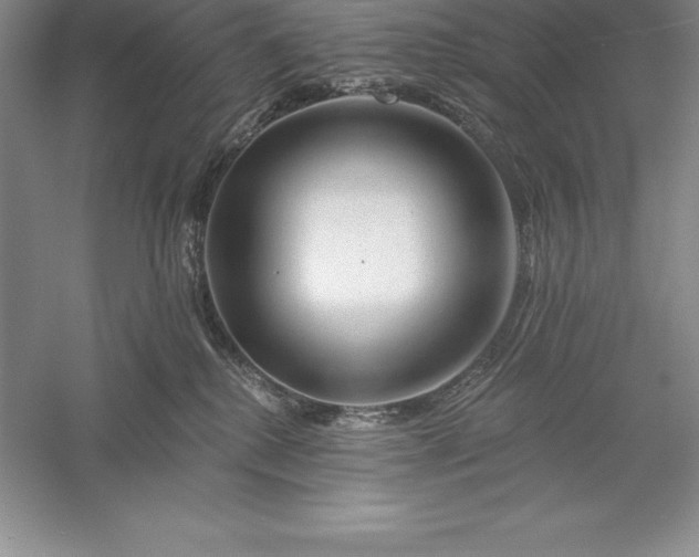 X0000055990280200509092027