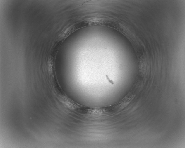 X0000055990282200509092027