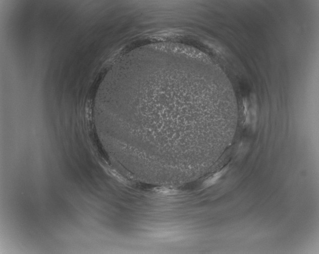 X0000055990284200509092027