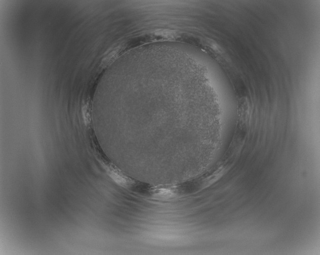 X0000055990285200509092027