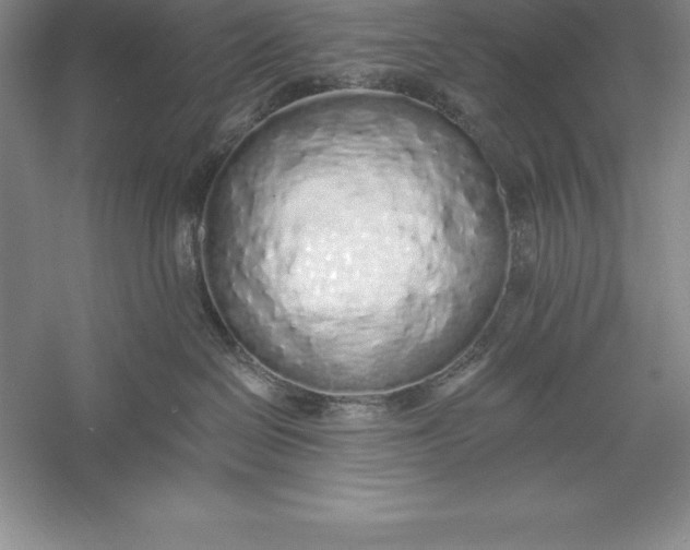 X0000055990286200509092027