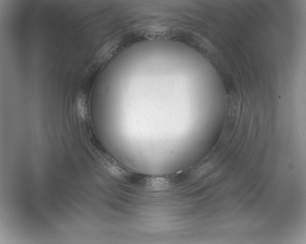 X0000055990287200509092028