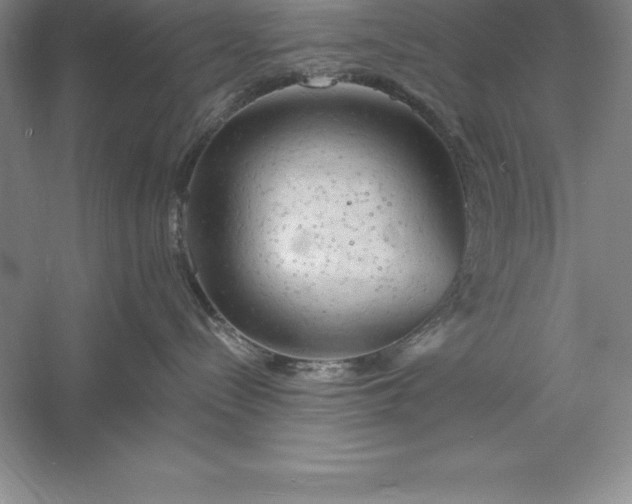 X0000055990288200509092028