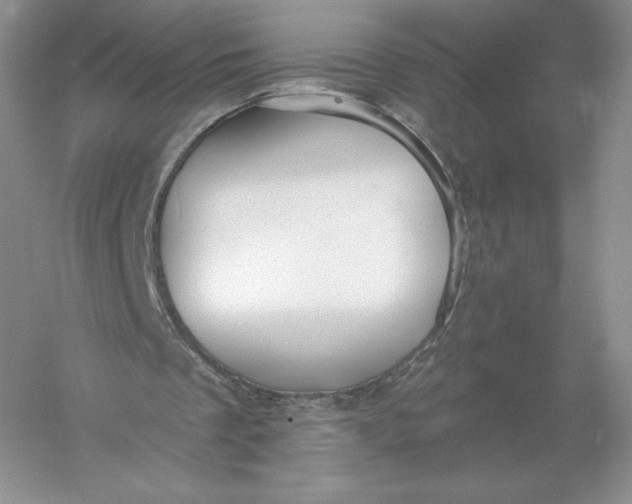 X0000055990289200509092027