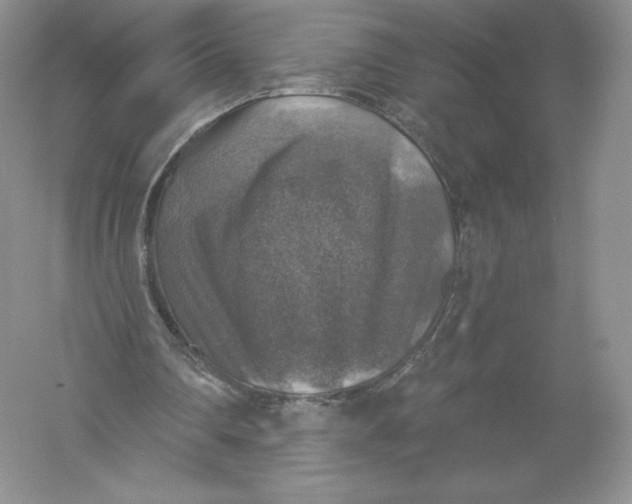 X0000055990290200509092027