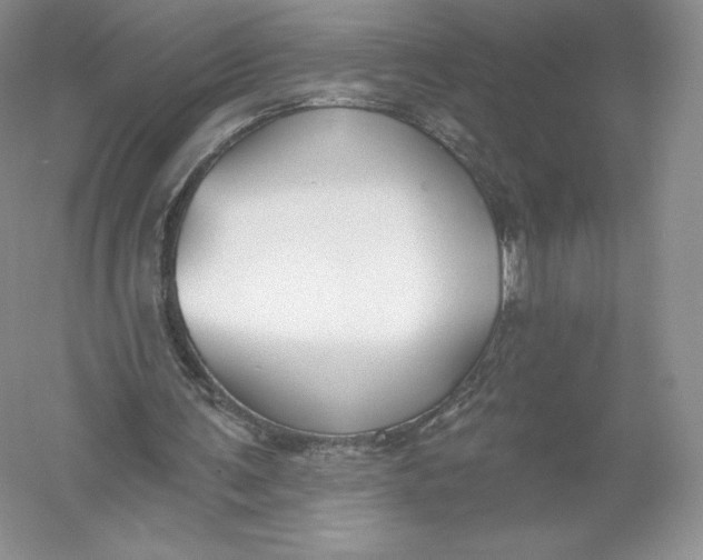 X0000055990291200509092027