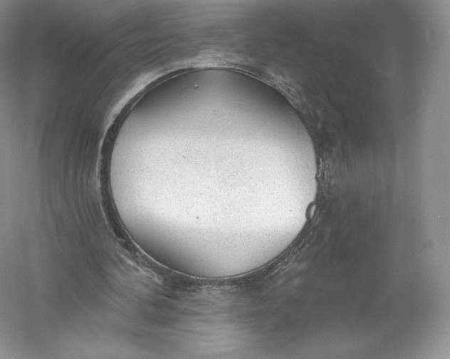 X0000055990292200509092027