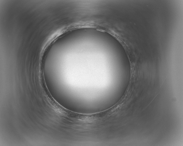 X0000055990293200509092027