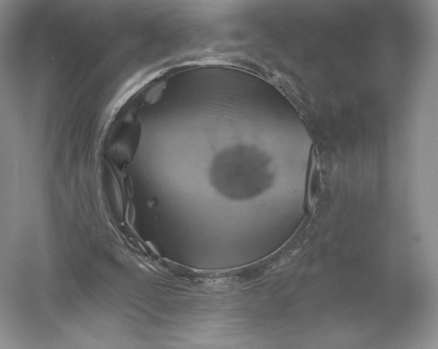 X0000055990295200509092027